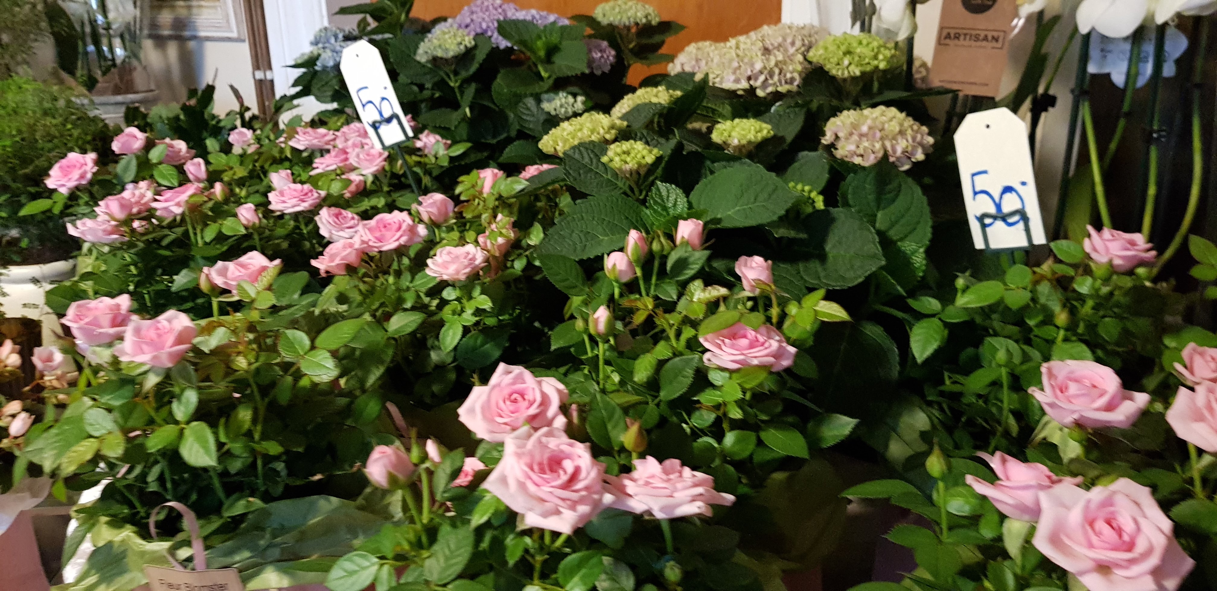 Sommerblomster